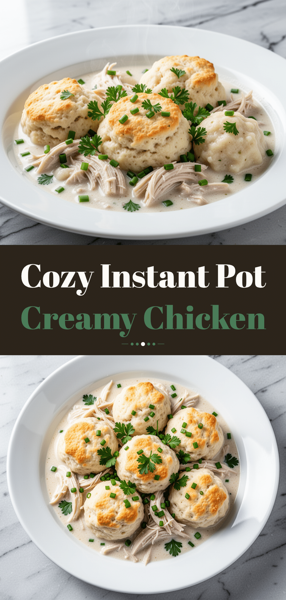Instant Pot Creamy Chicken and Dumplings 5 Instant Pot creamy chicken and dumplings recipe